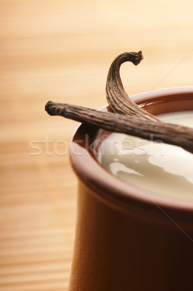 Tatlı vanilya puding tatlı gıda süt Stok fotoğraf © joannawnuk