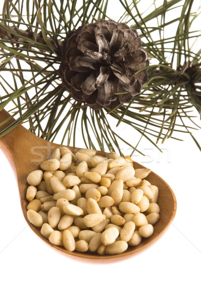 Pine nuts Stock photo © joannawnuk