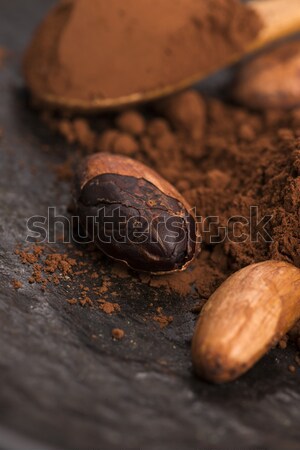 Imagine de stoc: Cacao · fasole · praf · lingură · alimente · plantă