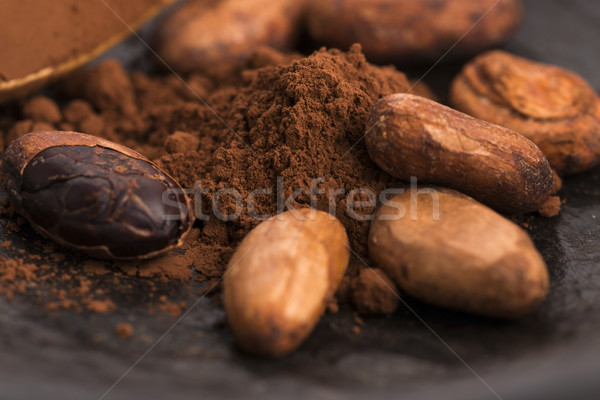 cacao beans and cacao powder in spoon Stock photo © joannawnuk