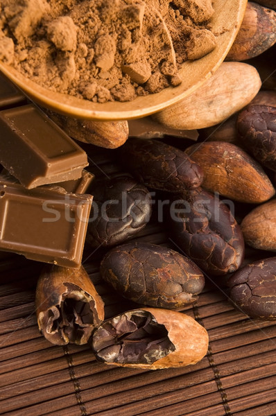Kakao Bohnen Schokolade Anlage essen Korn Stock foto © joannawnuk