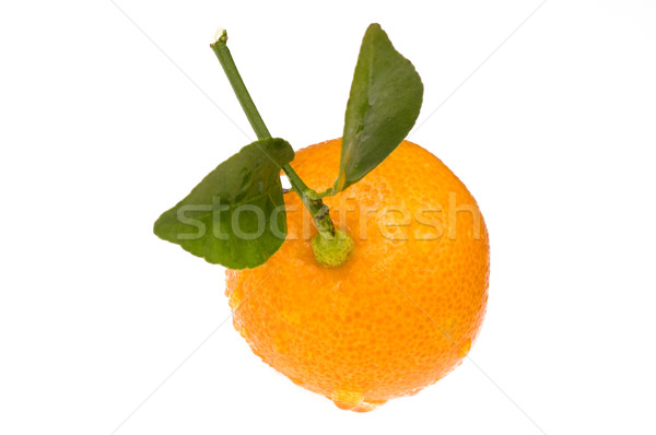 mandarin, calamondin Stock photo © joannawnuk