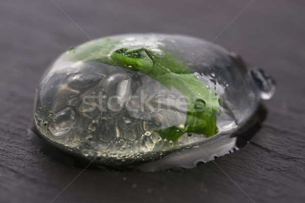 Сток-фото: Мохито · пузыря · молекулярный · коктейль · лист · фрукты