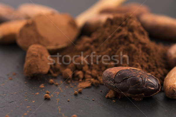 Foto stock: Cacau · feijões · pó · colher · comida · planta