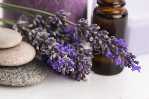 Foto stock: Lavanda · flores · saúde · Óleo · banheiro