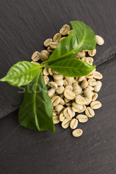 緑 コーヒー 木材 グループ カフェ ドリンク ストックフォト © joannawnuk