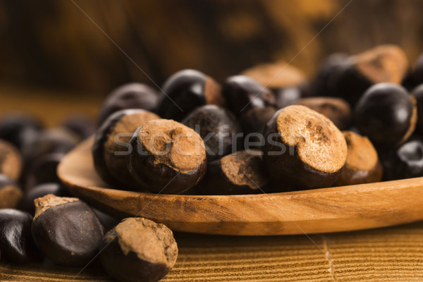 Magok fa kávé növény diók fűszer Stock fotó © joannawnuk