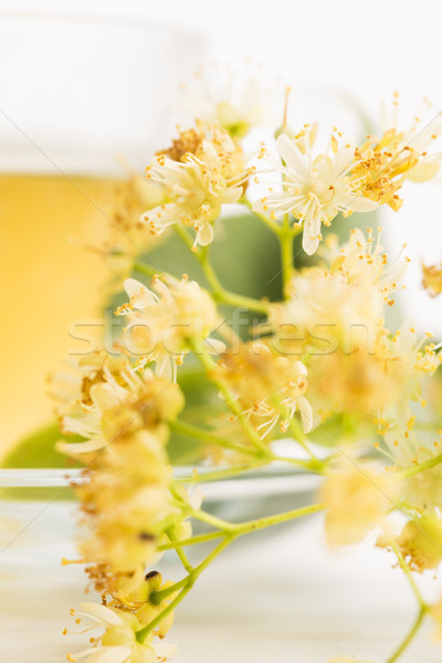 Stock photo: teapot and cup with linden tea and flowers