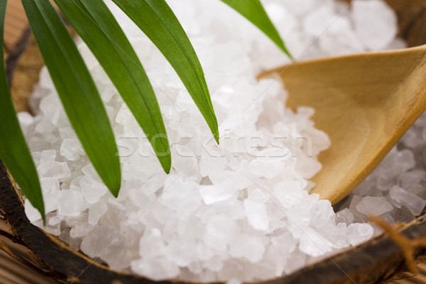 Sel de mer feuille de palmier Palm spa bain cuillère [[stock_photo]] © joannawnuk