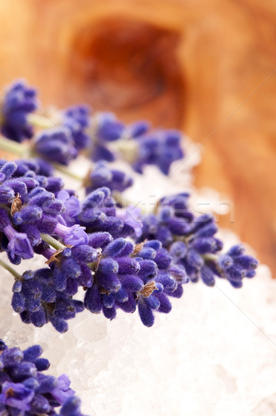 Bath Salt With Fresh Lavender Flowers Stock photo © joannawnuk