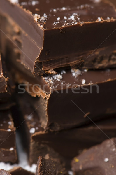 Homemade chocolate with sea salt Stock photo © joannawnuk
