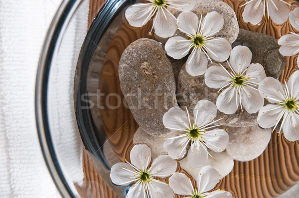 Foto d'archivio: Bianco · benessere · prodotti · ciliegio · fiori · acqua