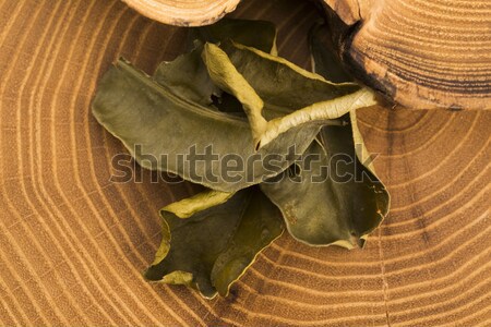 Cassia leaves Stock photo © joannawnuk