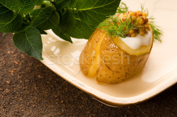 Sült krumpli tejföl gabona mustár gyógynövények Stock fotó © joannawnuk