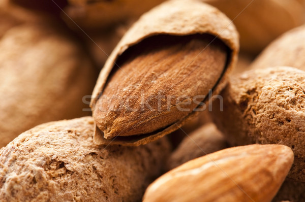 Sweet группа оболочки орехи макроса Сток-фото © joannawnuk