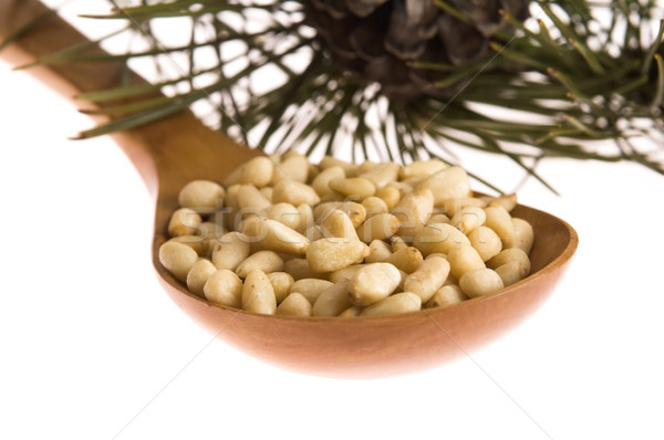 Pine nuts Stock photo © joannawnuk