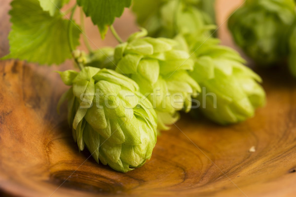 Fresh green hop cones Stock photo © joannawnuk