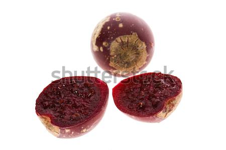 Prickly pear cactus ( Opuntia ficus-indica ) with red fruits Stock photo © joannawnuk