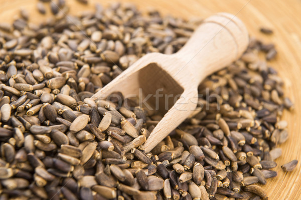 Seeds of a milk thistle (Silybum marianum, Scotch Thistle, Maria Stock photo © joannawnuk