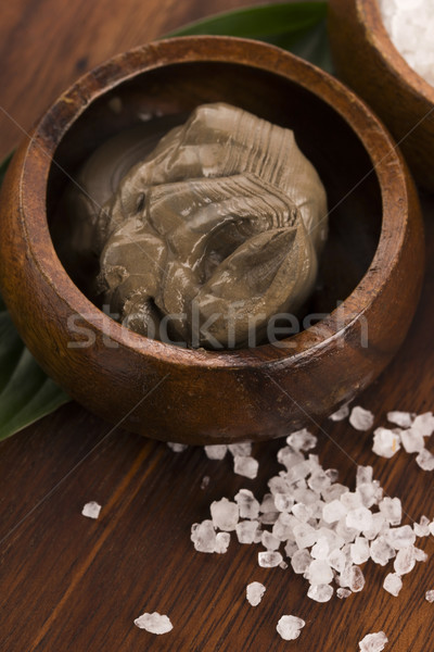 Dead Sea mud and salt in a bowl Stock photo © joannawnuk