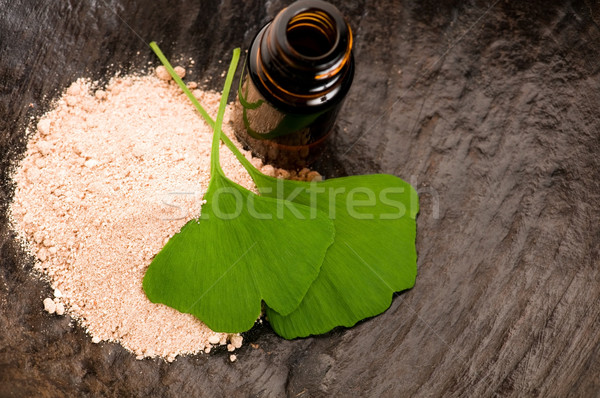 fresh leaves ginko biloba essential oil and powder - beauty trea Stock photo © joannawnuk
