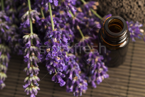 Foto stock: Lavanda · estância · termal · natureza · mar · beleza · verde