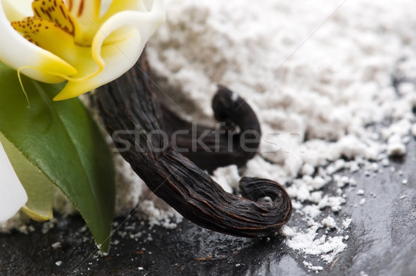 vanilla beans with aromatic sugar and flower Stock photo © joannawnuk