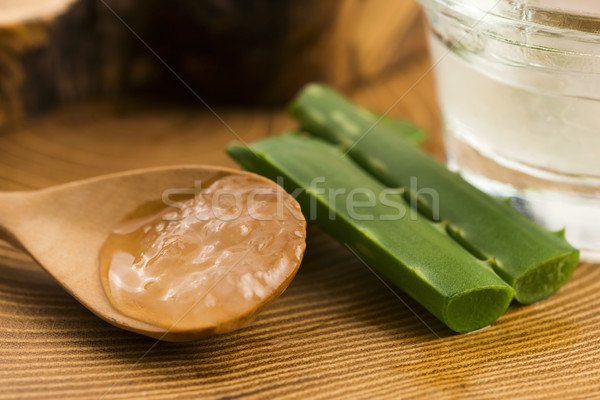 aloe vera juice with fresh leaves  Stock photo © joannawnuk
