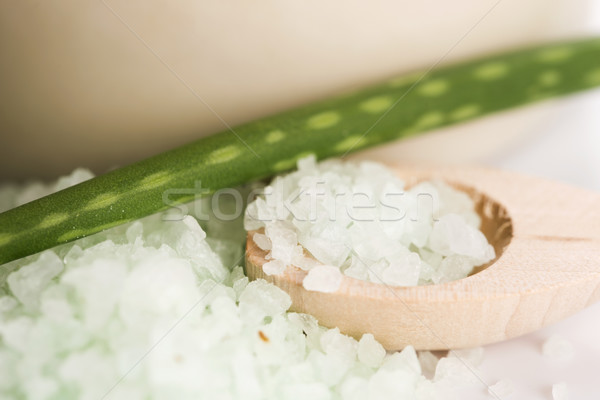 Aloe sel de mer feuille massage détendre cuillère Photo stock © joannawnuk