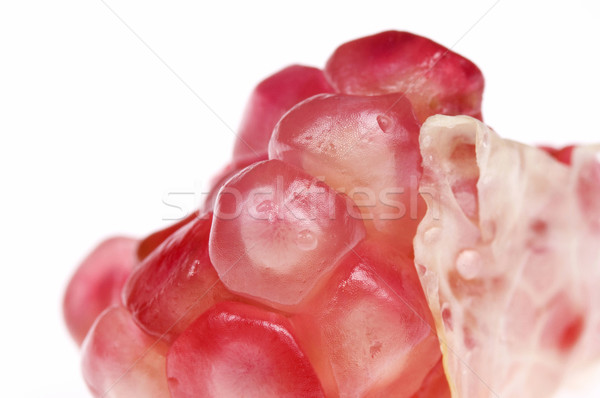 grain pomegranat Stock photo © joannawnuk