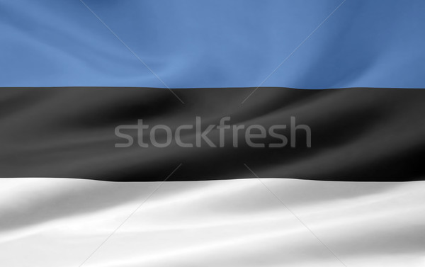 Zdjęcia stock: Banderą · Estonia · czarny · biały · tkaniny · społeczności