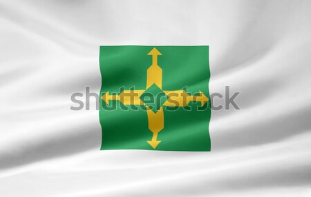 Bandeira federal Brasil projeto verde país Foto stock © joggi2002