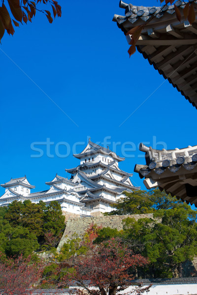 Hermosa otono acera alrededor antigua castillo Foto stock © JohnKasawa