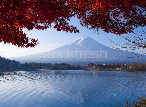 美しい 風景 山 午前 時間 ストックフォト © JohnKasawa