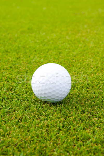 Golfball on green field Stock photo © JohnKasawa