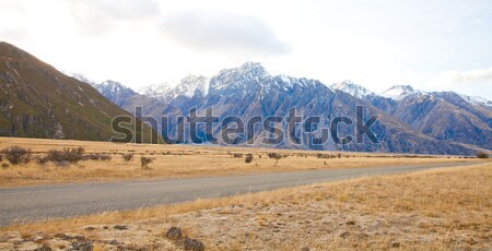 Beautiful scenery of Aoraki Mt Cook valleys in the morning time  Stock photo © JohnKasawa