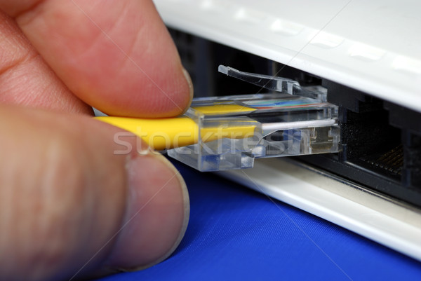 [[stock_photo]]: Plug · jaune · réseau · câble · routeur · isolé