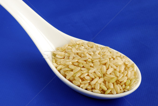 A spoonful of uncooked brown rice isolated on blue Stock photo © johnkwan