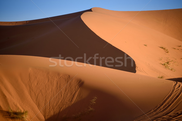 Marocco sahara deserto sabbia cielo sole Foto d'archivio © johnnychaos