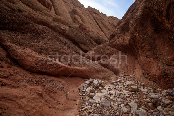 Festői tájkép atlasz hegyek Marokkó úticél Stock fotó © johnnychaos