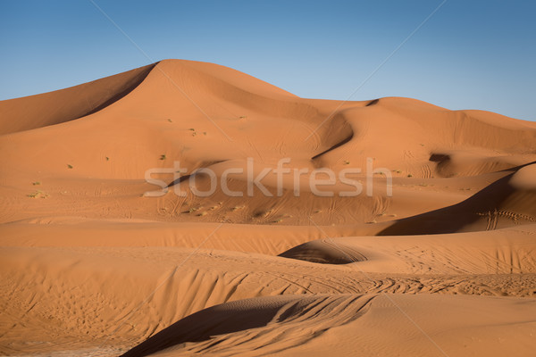 Marocco sahara deserto sabbia cielo sole Foto d'archivio © johnnychaos