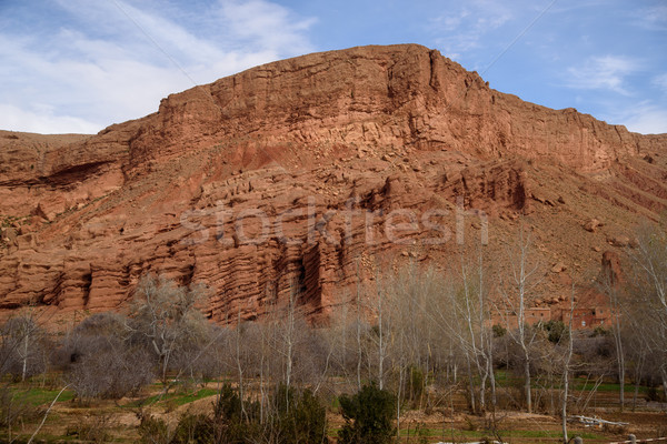 Scenic landscape in Dades Gorges, Atlas Mountains, Morocco Stock photo © johnnychaos