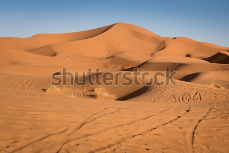 Marocco sahara deserto sabbia cielo sole Foto d'archivio © johnnychaos