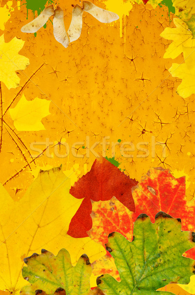 Automne grunge printemps résumé usine modèle [[stock_photo]] © johnnychaos