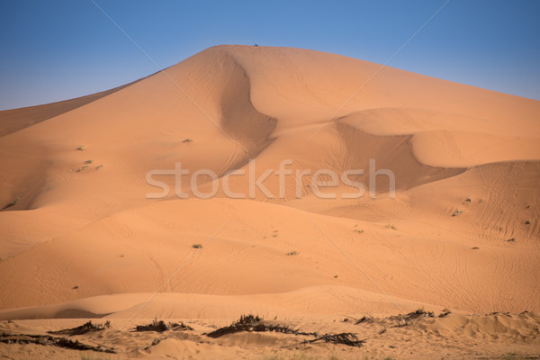 Marruecos sáhara desierto arena sol naturaleza Foto stock © johnnychaos