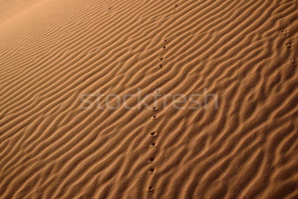Marruecos sáhara desierto arena cielo sol Foto stock © johnnychaos