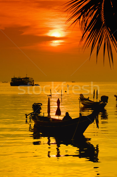 Sunset with palm and boats on tropical beach Stock photo © johnnychaos