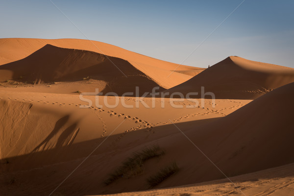 Marocco sahara deserto sabbia cielo sole Foto d'archivio © johnnychaos