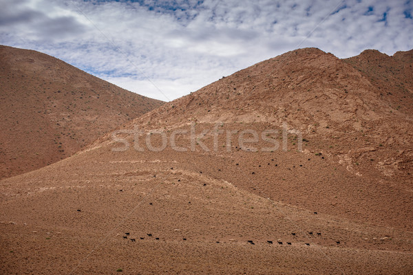 Tal Atlas Berge Marokko Reiseziel schließen Stock foto © johnnychaos