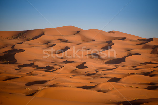 Marruecos sáhara desierto arena cielo sol Foto stock © johnnychaos